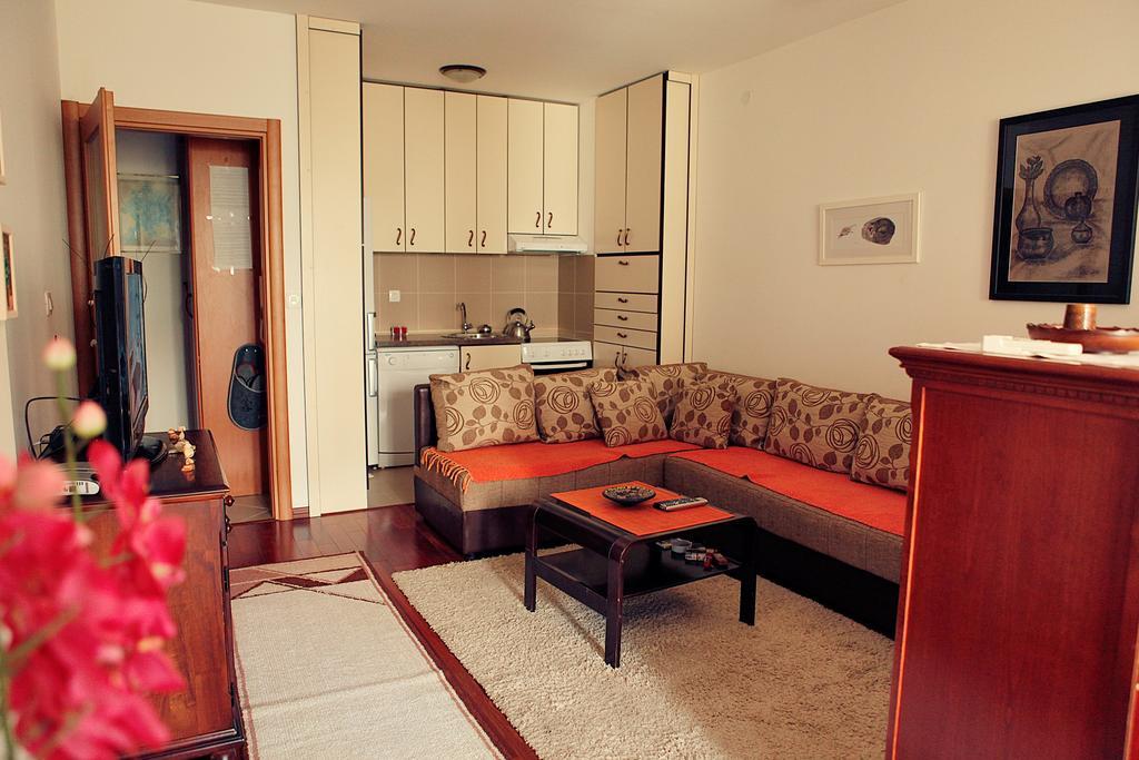 Studio Apartment Nika Andusa Petrovac Room photo