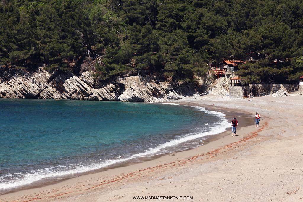 Studio Apartment Nika Andusa Petrovac Exterior photo